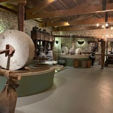 Mavroudis Olive oil (Corfu Olive Oil, Olive Oil Museum, Corfu Olive Tour)