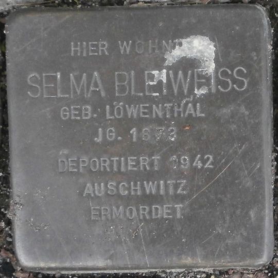 Stolperstein dedicated to Selma Bleiweiss