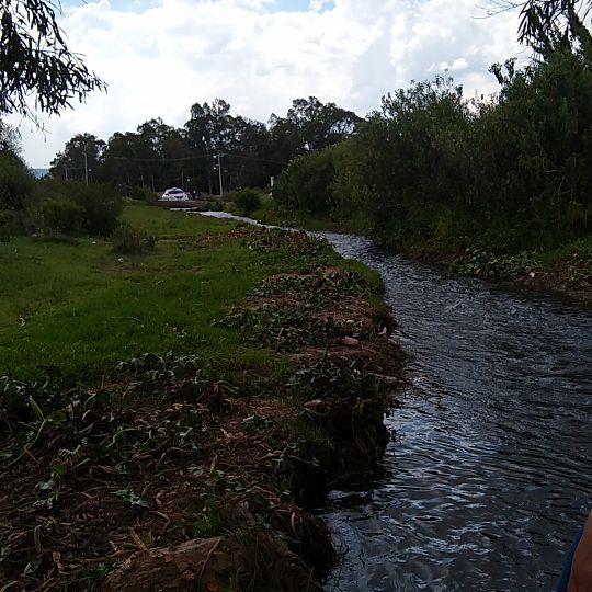 Ojo de agua