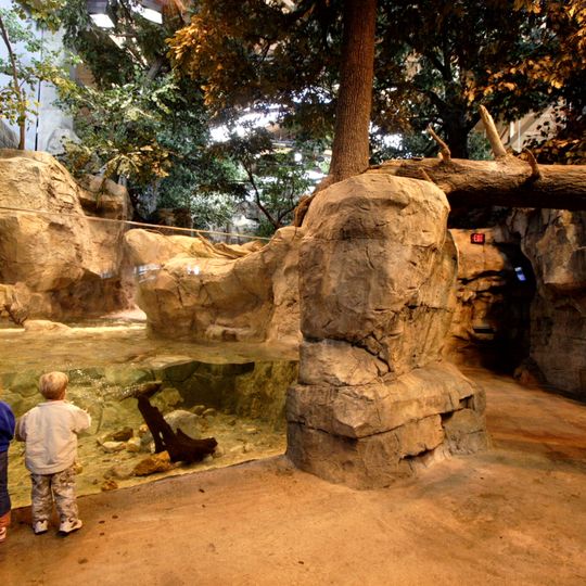 Wonders of Wildlife Museum & Aquarium