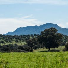 Dehesa de Castilseras