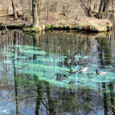 Niebieskie Źródła Nature Reserve