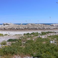 Bird Island Nature Reserve