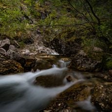 Miette hot springs