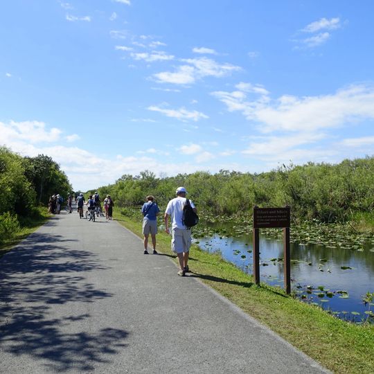 Shark Valley Tram Road