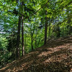 Dissau und Steinberg