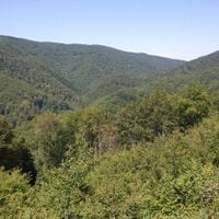 regione di Požega e della Slavonia