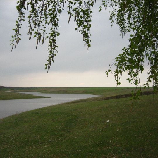 Tschaplyginski rajon