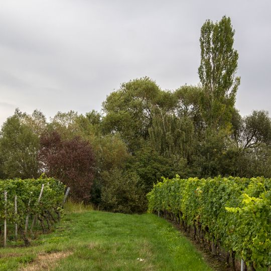Eichelsee-Doline am Kreuzberg NNW von Sommerach