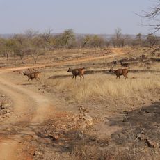 Parco nazionale di Panna