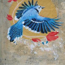 Blue Jay