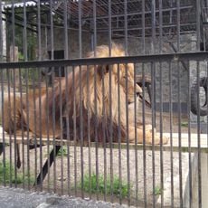 Sakhalin Zoological and Botanical Park