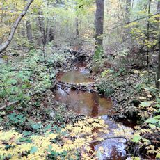 Reserve "Rosochacz" - Forestry Starachowice