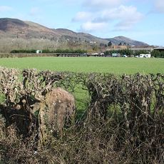 Milestone, Mayalls Farm; 100 yds W of Yew Tree Farm