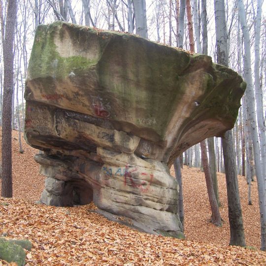 Nature reserve Kamień Grzyb