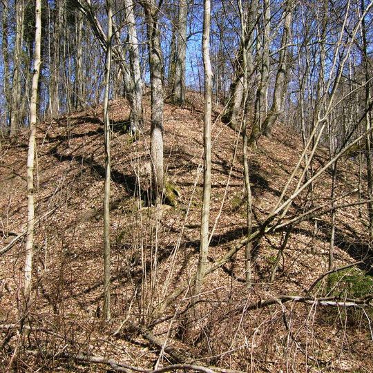 Lileikėnai hillfort