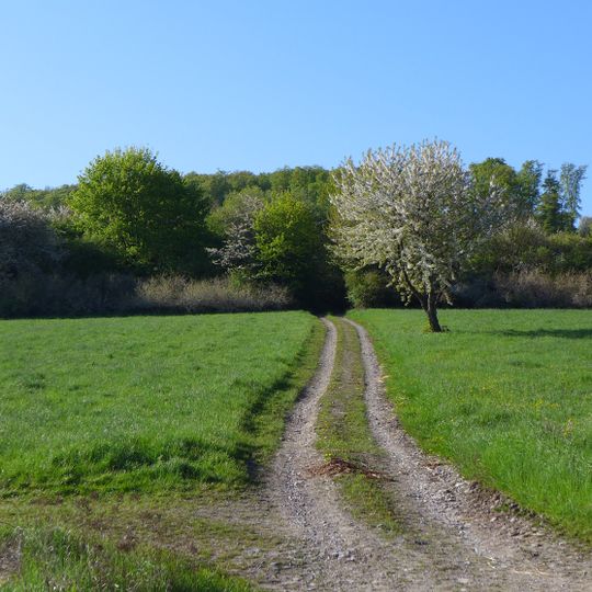Hube, Greener Wald und Luhberg