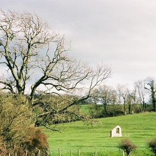 Medieval settlement of Winterborne Farringdon and associated remains