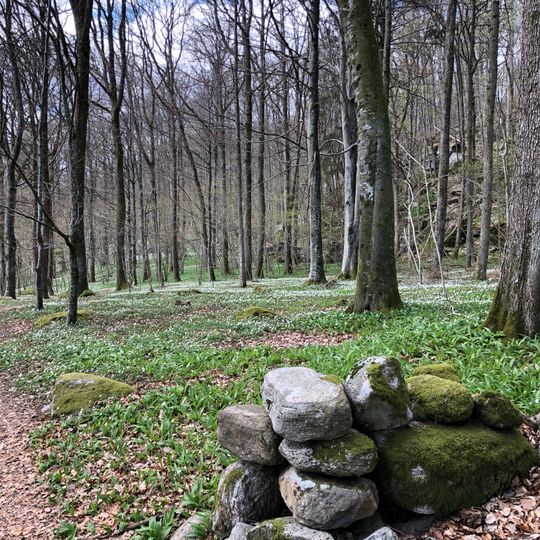 Årenäs-Tostekulla lövskogar