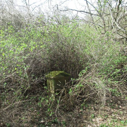 Kříž severně od Spáleného Poříčí u potůčku