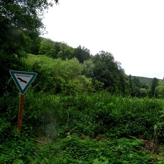 Kleine Henne / Bockenberg