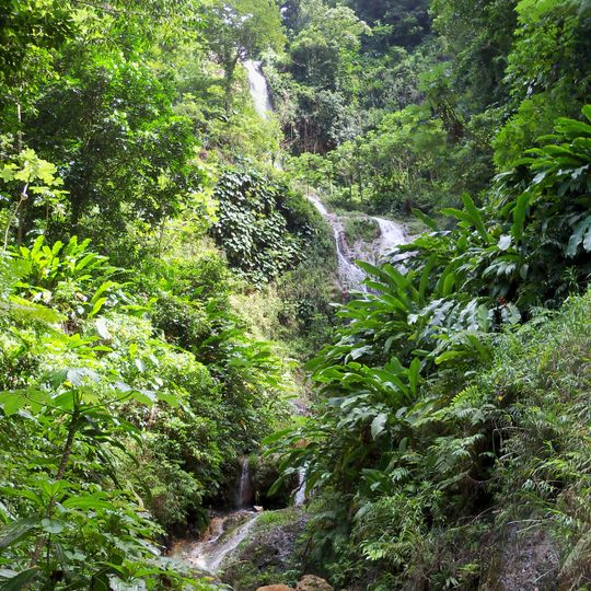 Tufton Hall Waterfall