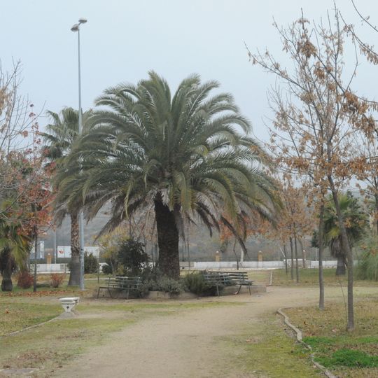 Riolobos