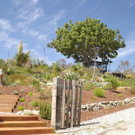 Arboretum at the University of California, Santa Cruz