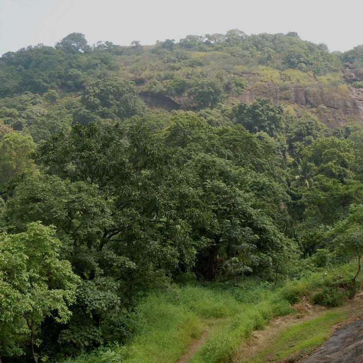 Sanjay Gandhi nationalpark