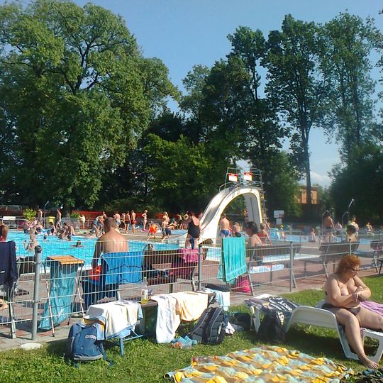 Duby na městském koupališti