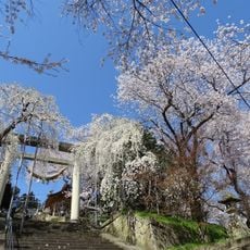 Eboshiyama Park