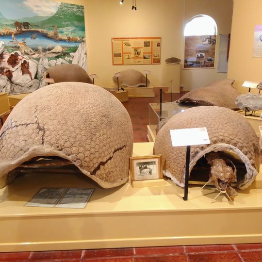 Museo de Ciencias Naturales Gesué Pedro Noseda