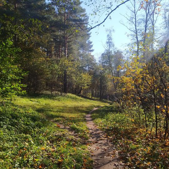 Verkiai Regional Park