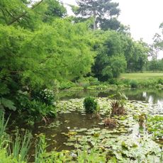 Pièce d'Eau des Nymphéas