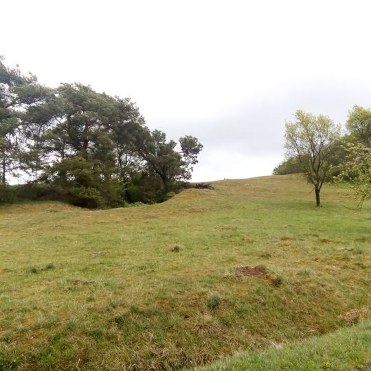 An der Brachehöll bei Niedereisenhausen