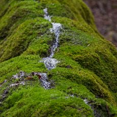Trauf der mittleren Frankenalb im Sulztal