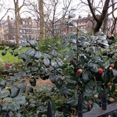Manchester Square
