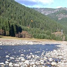 Bosque nacional Willamette