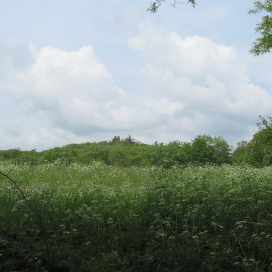 Hradiště u svatého Jiří