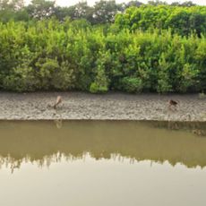 Bhitarkanika National Park