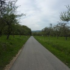 Enztal zwischen dem Leinfelder Hof und Bietigheim-Bissingen sowie Glems- und Leudelsbachtal unterhalb Markgröningen mit angrenzenden Gebieten (insbesondere Ottern-, Berg- und Siegental, Muckenschupf und Rotenacker Wald)