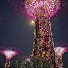 Supertree Grove