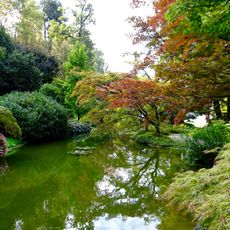 Japanese Pond