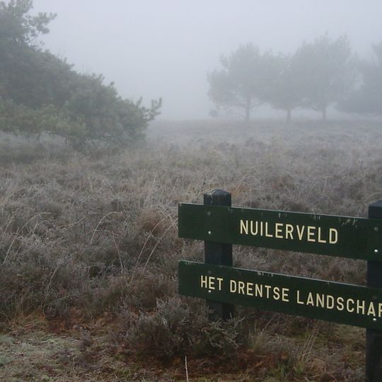 Nuilerveld