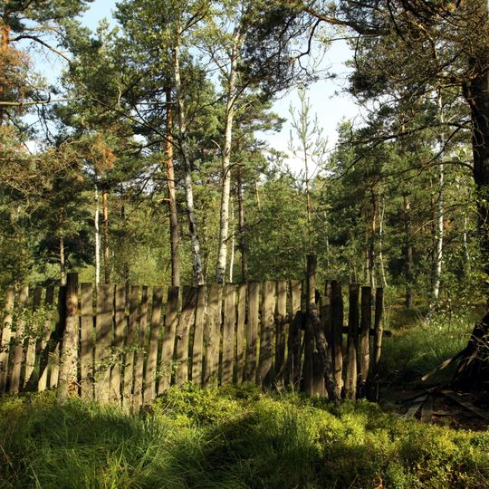 Rájecká rašeliniště