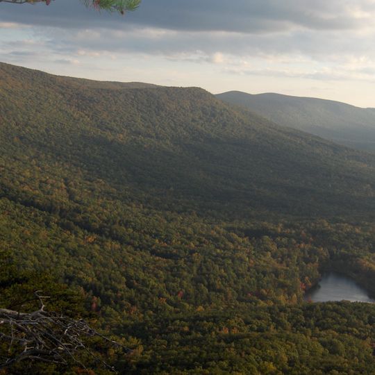 Talladega National Forest