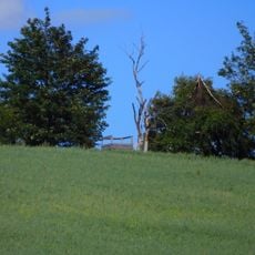 Sovinec observation tower