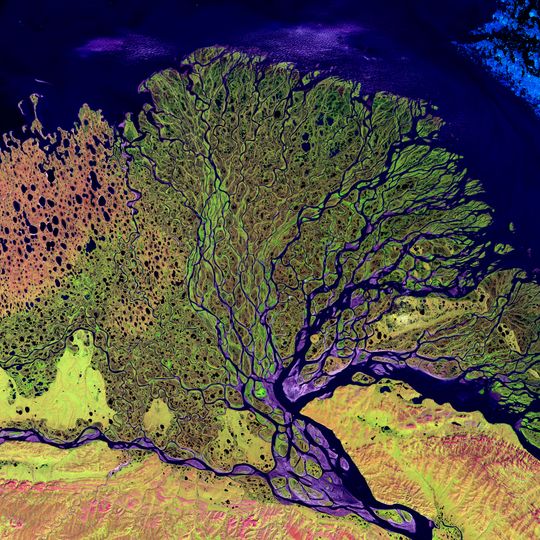 Lena Delta