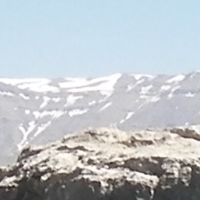 North Governorate