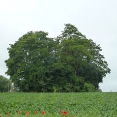 Tumulus of Vissoul